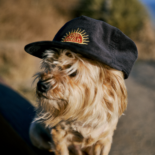 Rise Hat Snapback Black Wash