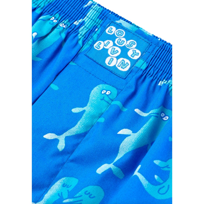 Dolphins Boxershorts Oceans