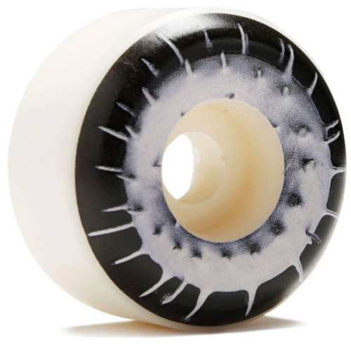 F4 Max Palmer Spiked Conical Full 53mm 99a Natural Skateboard Wheels