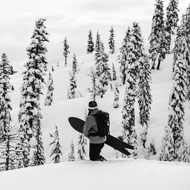 Dart Gloss Snowboard