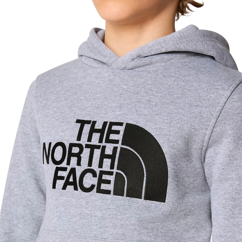 North face drew peak hoodie junior online