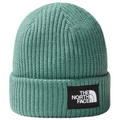 Salty Lined Regular Beanie Brandy Brown
