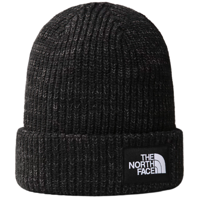 Salty Lined Regular Beanie TNF Black