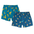 Demo & Ghost 2pack Boxer Shorts Seaport/ Dazzle