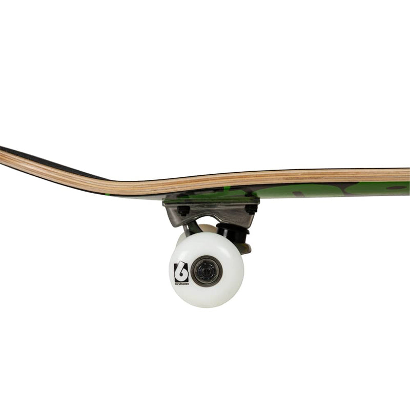 Triple Stack Rasta Stage 1 8.0" Complete Skateboard
