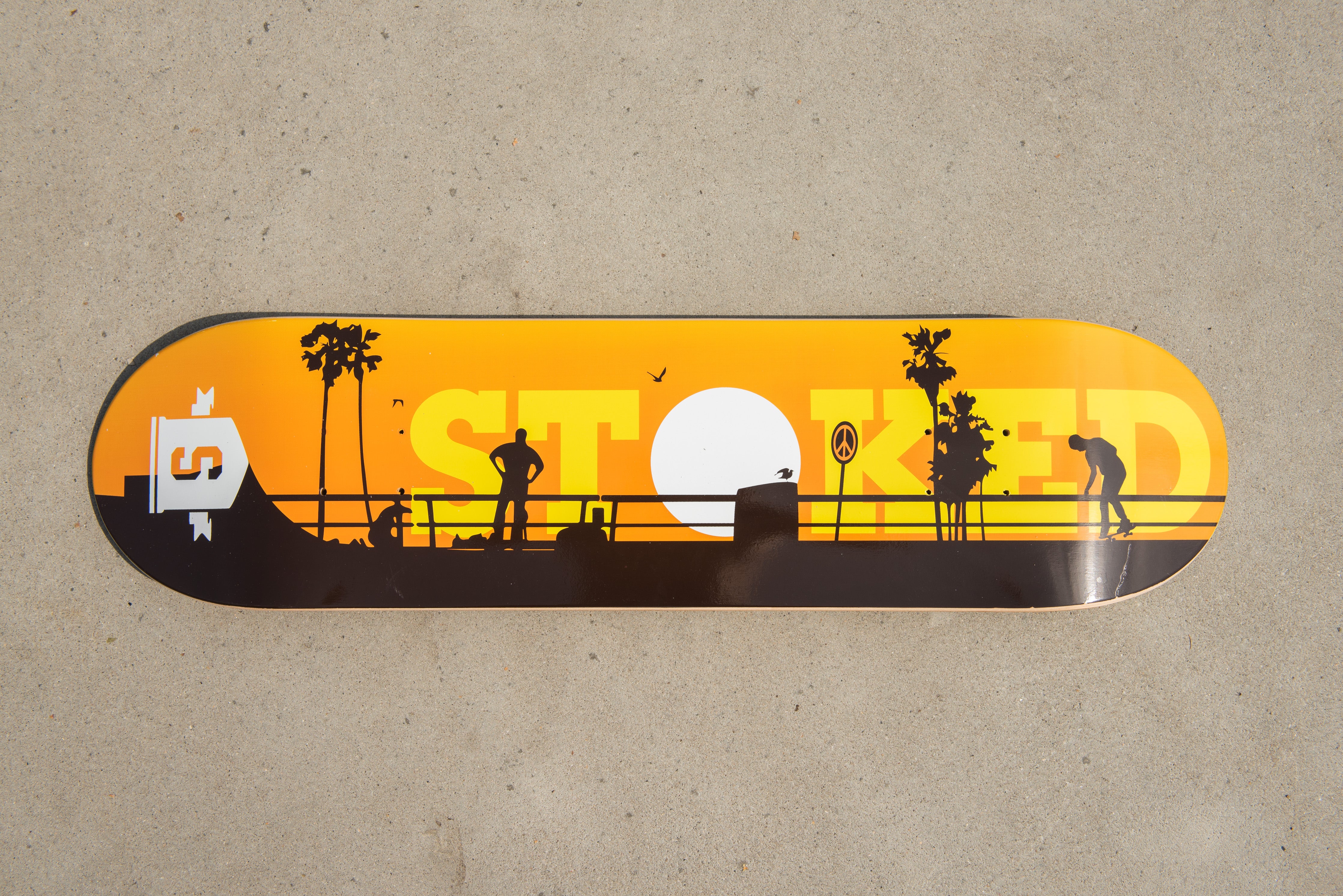 Venice Skateboard Deck
