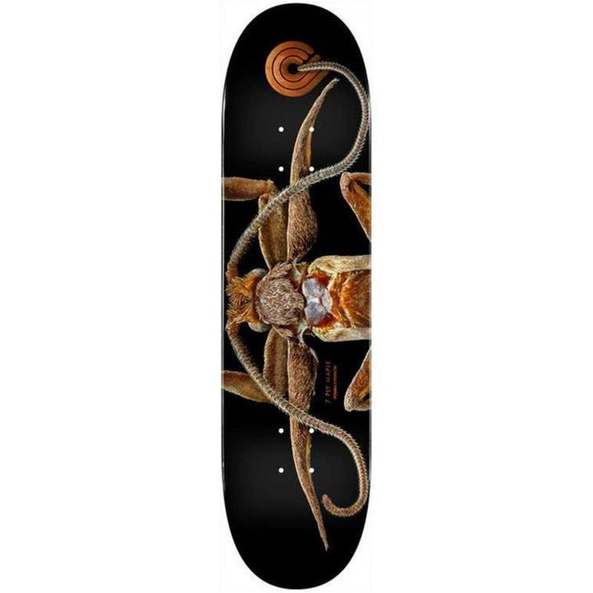 Biss 243 K20 Marion Moth Fall Planche de skateboard de 8,25 pouces