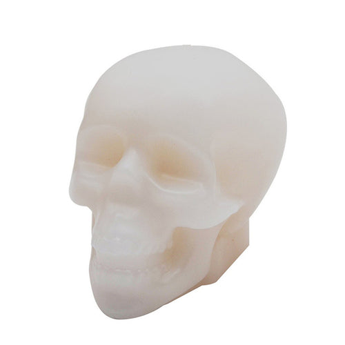 Wax skull head white