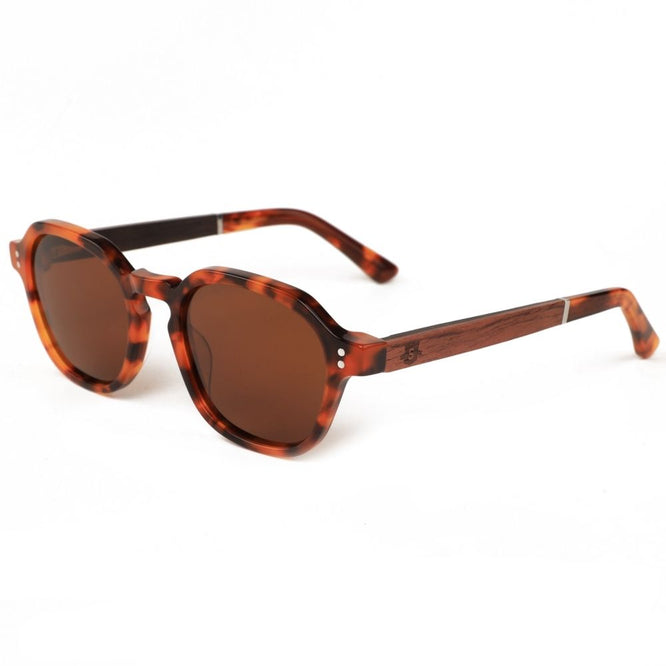 AS212-A-0390-04 Acetate Tortoise + Brown Lens